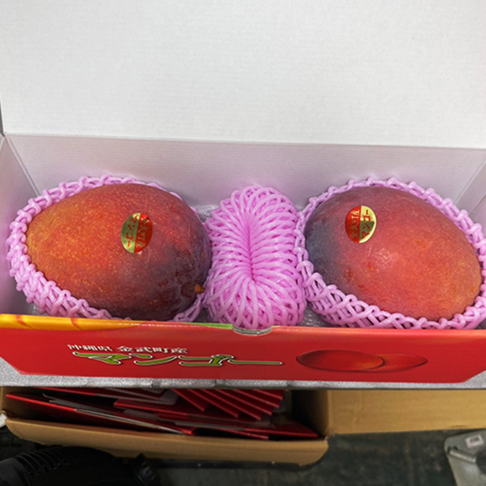 沖縄県金武町産アップルマンゴー（優品1kg）｜前田農園 | 前田農園shop